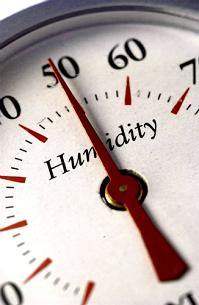 home dehumidification system, Boston, Bolton MA